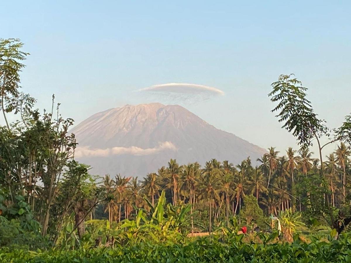 Hidden Heaven Rumah Barong Jasri 외부 사진